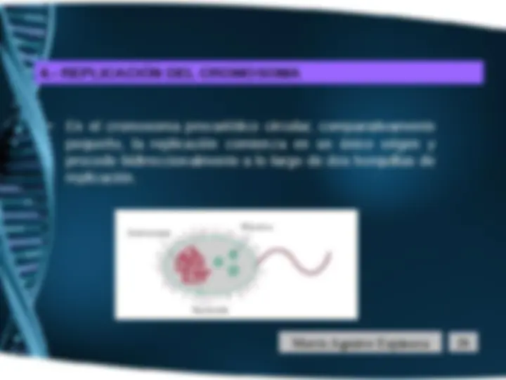 pf1f