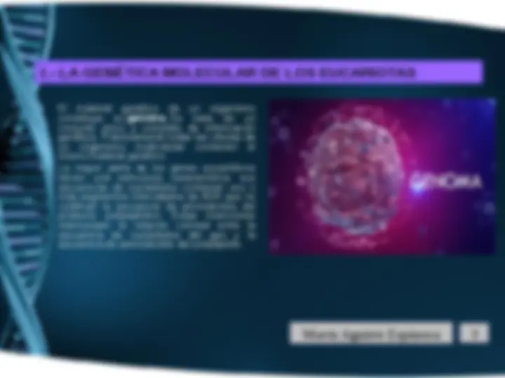 pf8