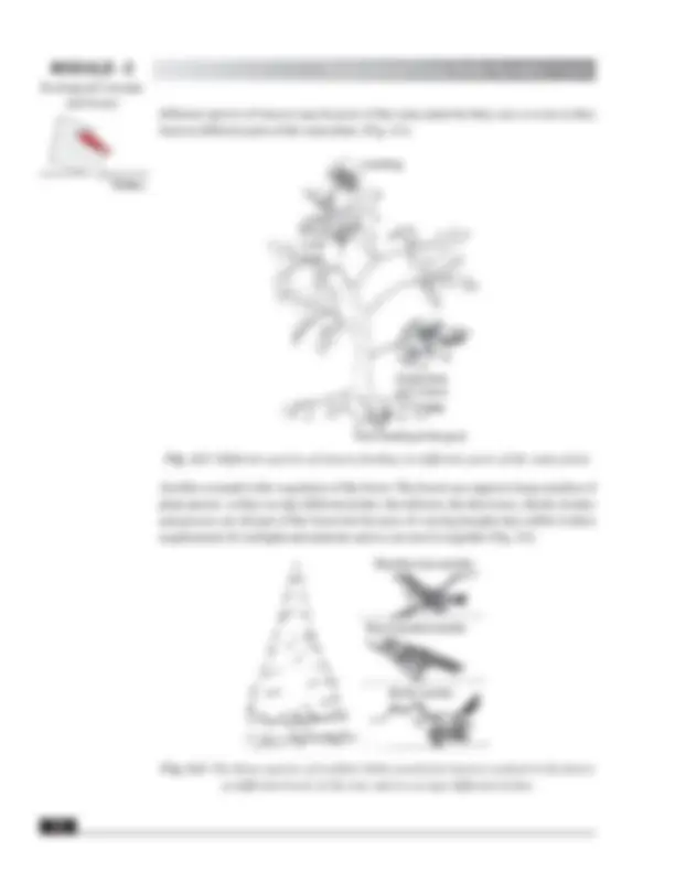 pf40