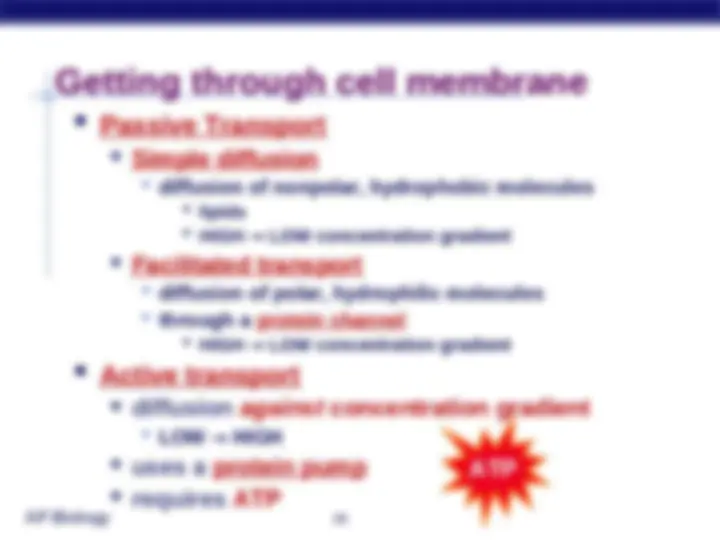 pf1b