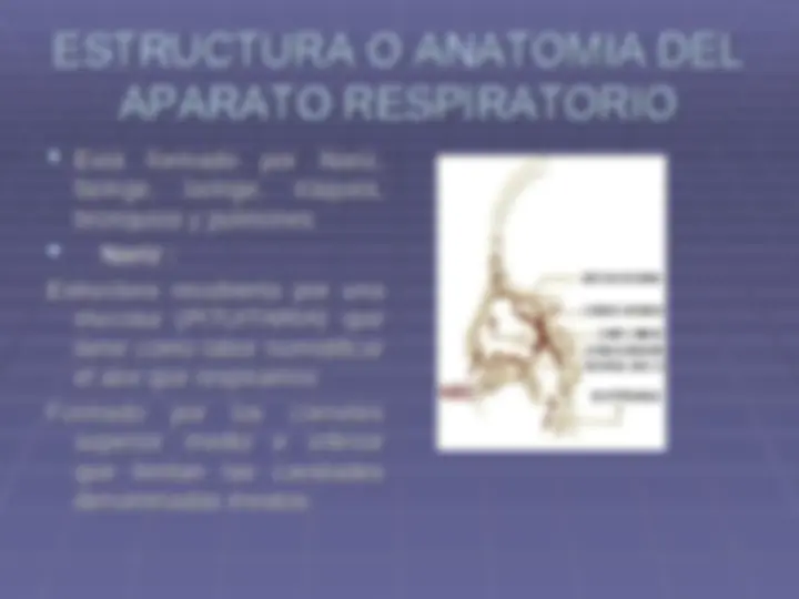 pf3