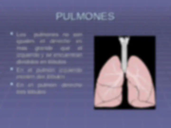 pfe