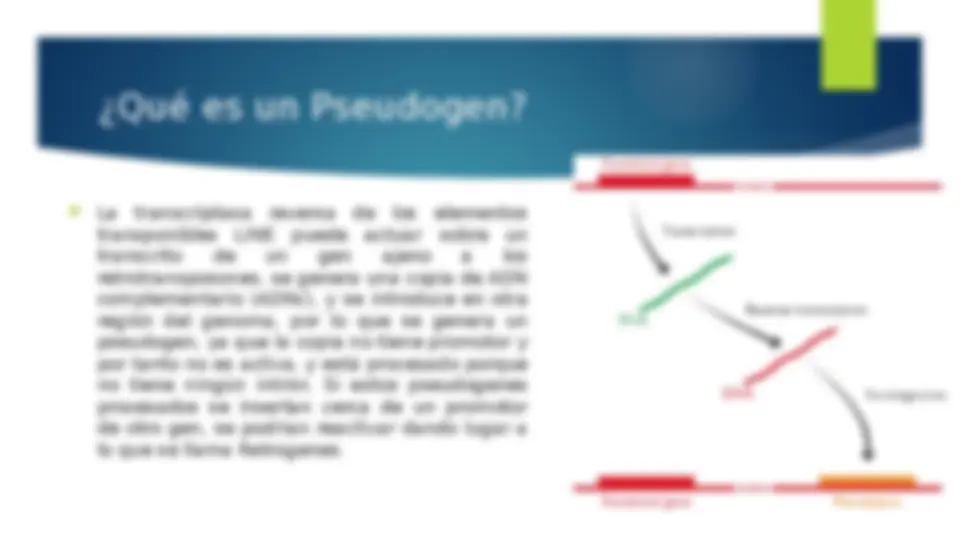 pfe