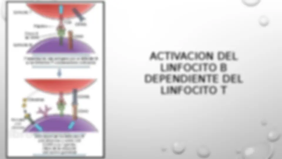 pf4