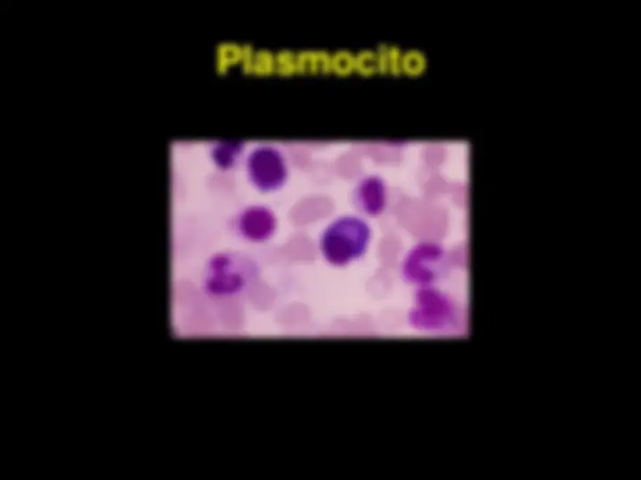 pf53
