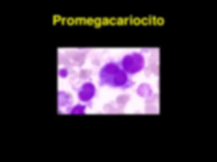 pf4c