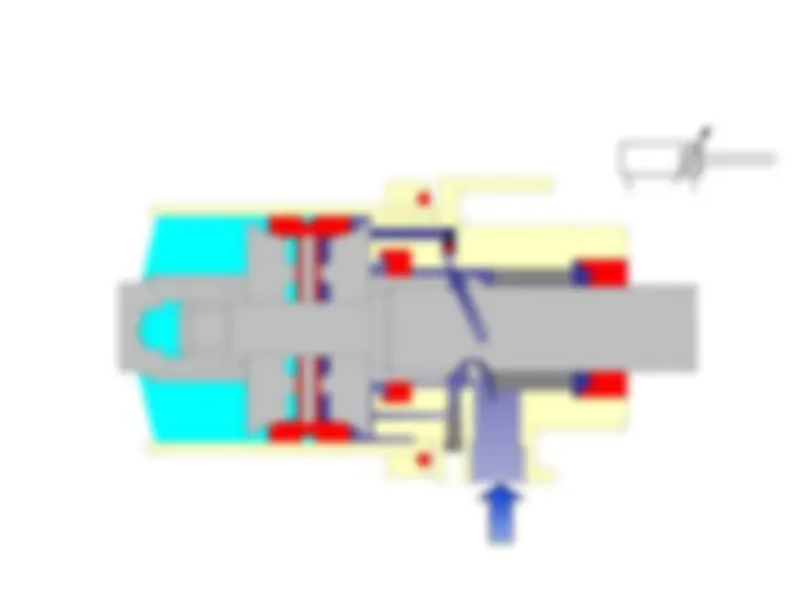 pf29