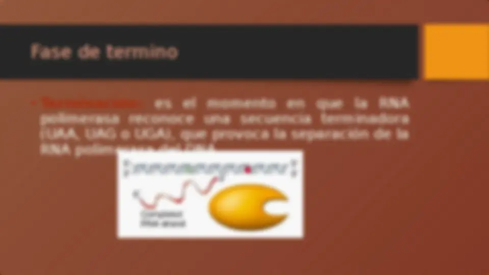 pf5