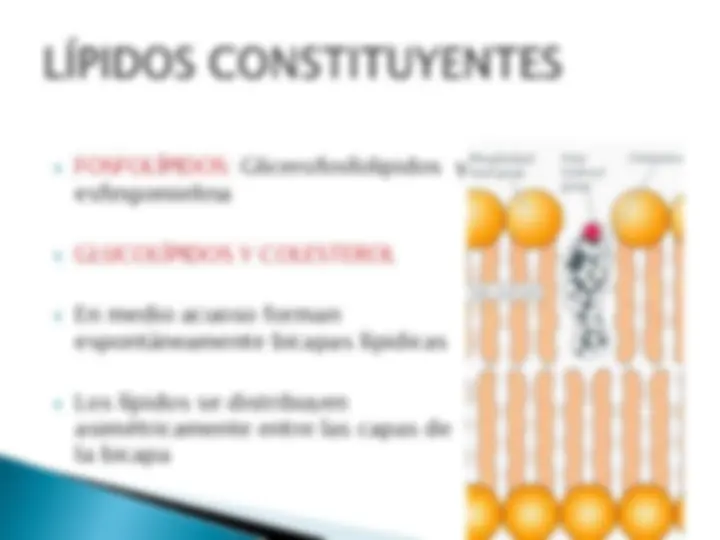pf4