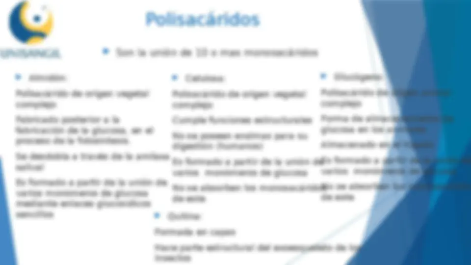 pf17