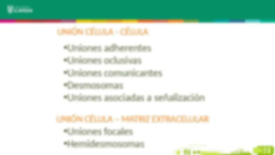 pf5