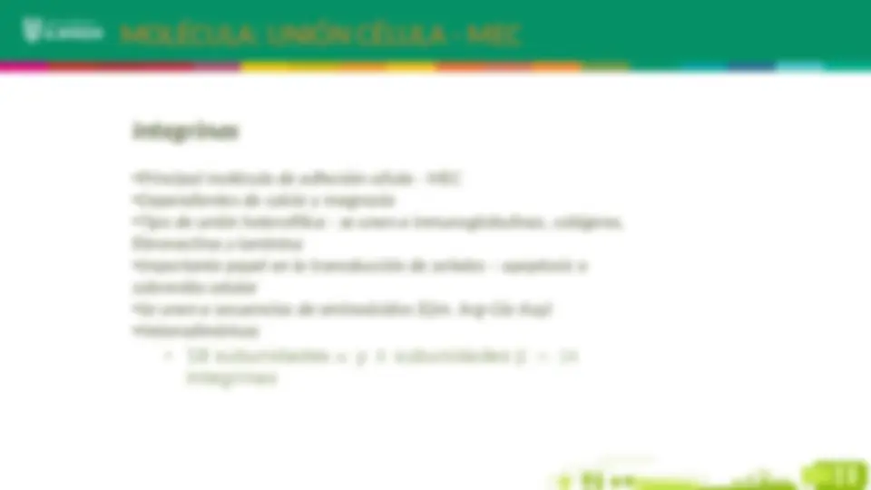 pf1b