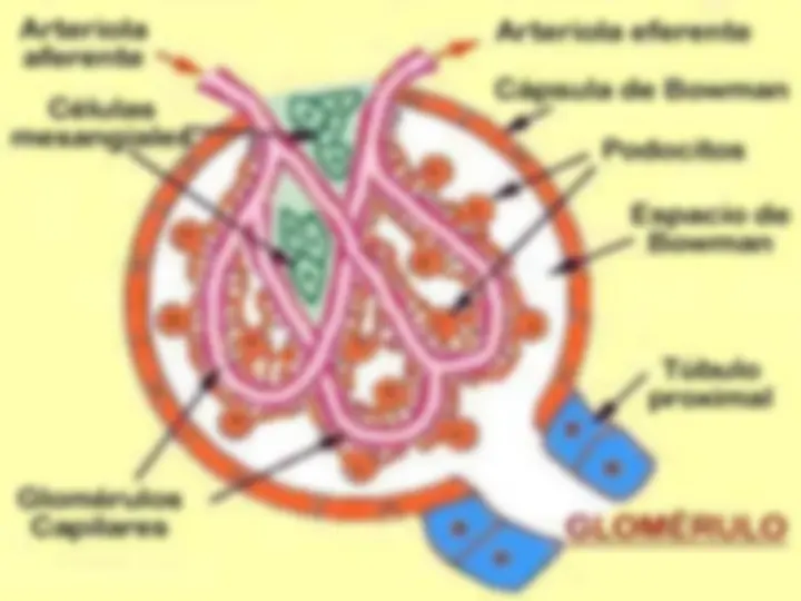 pf5