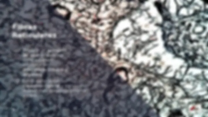 pf8