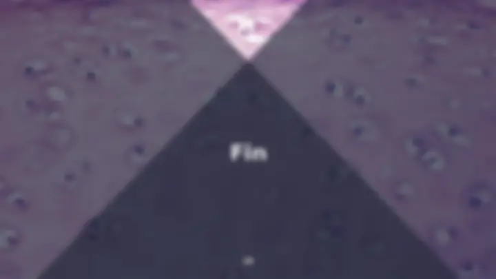 pf16