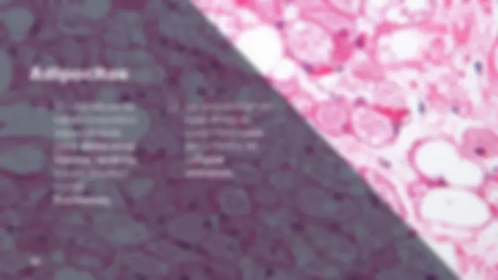 pf14