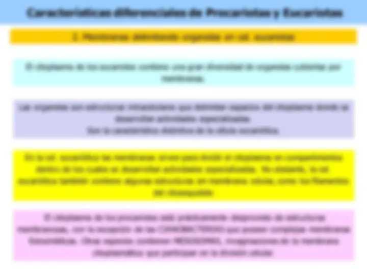 pf4