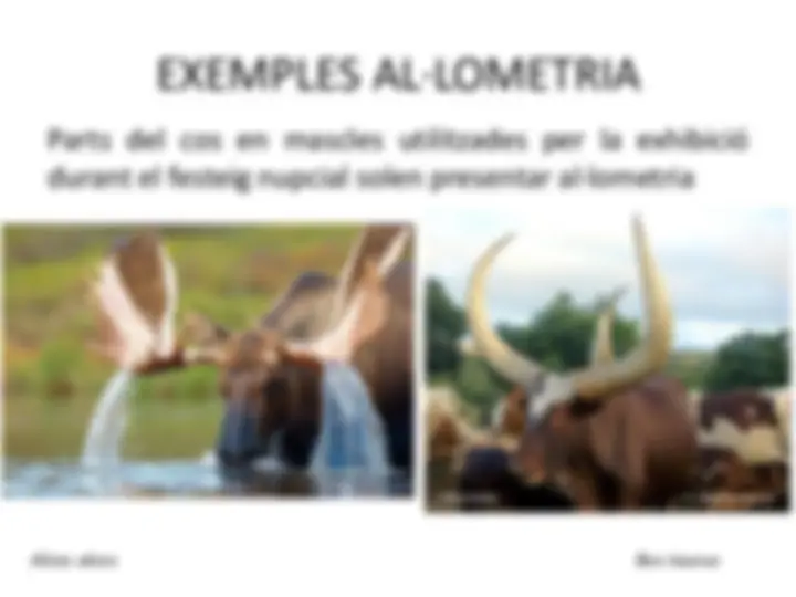 pf57