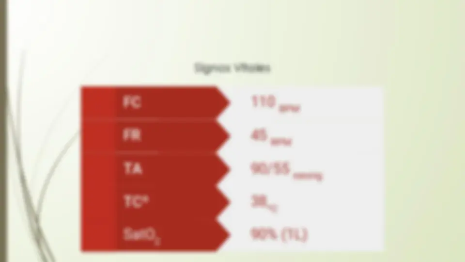 pf19