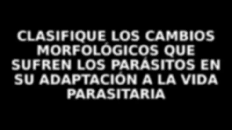 pf16