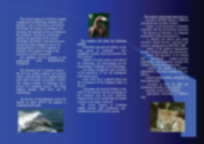 pf2