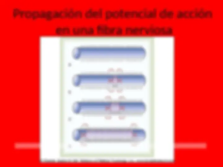 pf3b