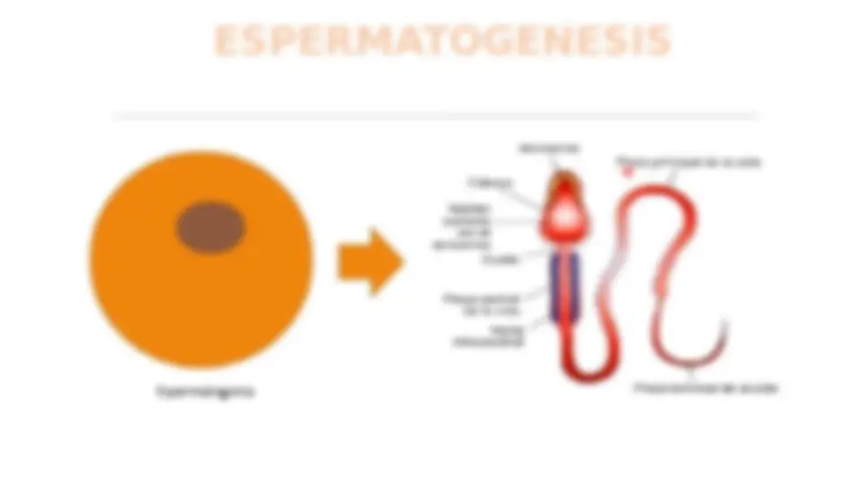 pf5