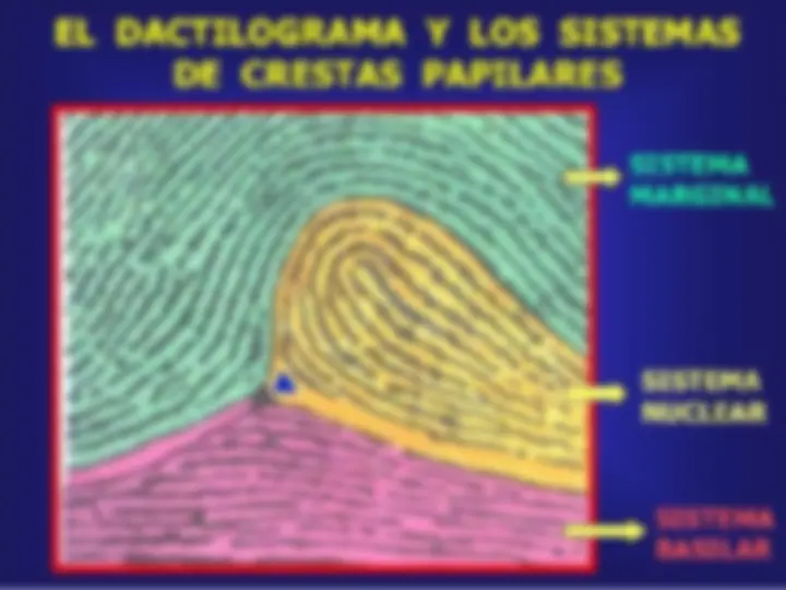 pf1b