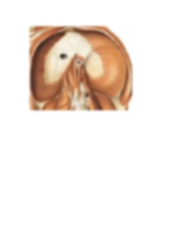 pf5