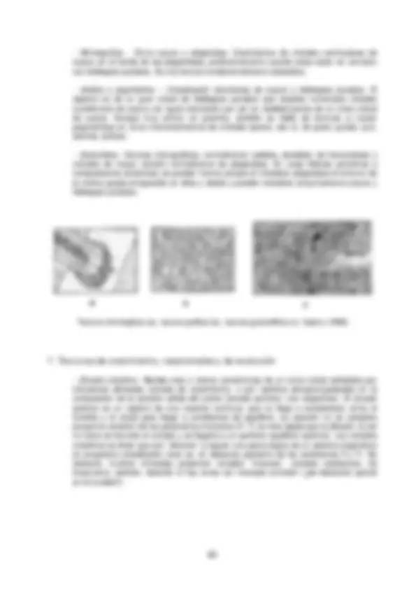 pf2a