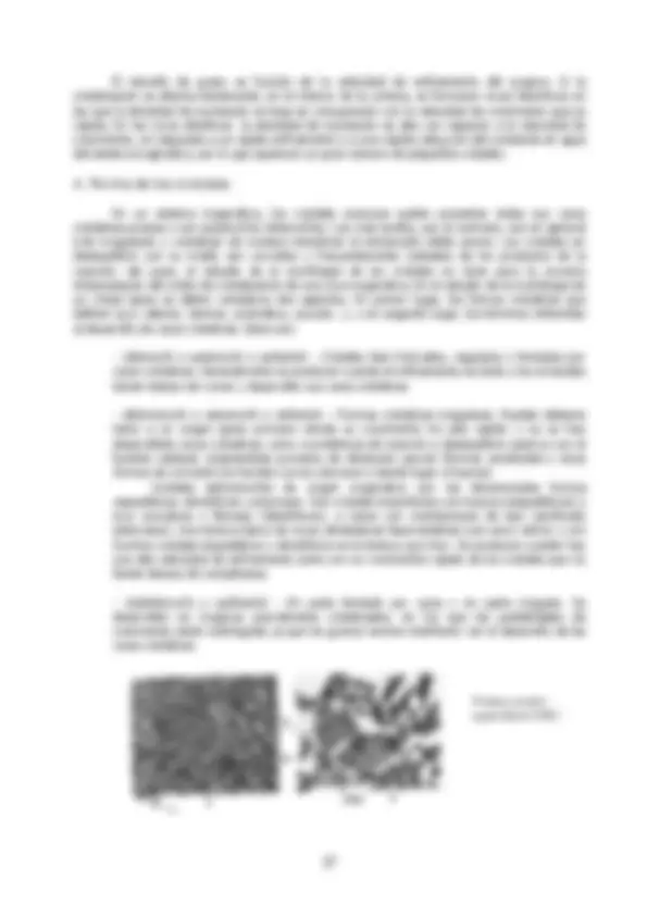 pf27
