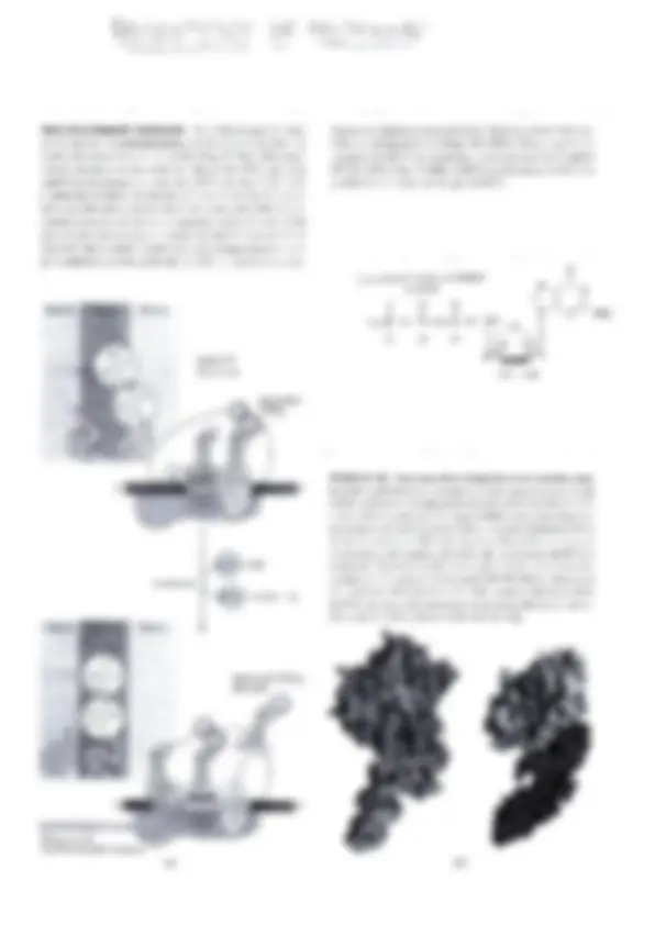 pfa