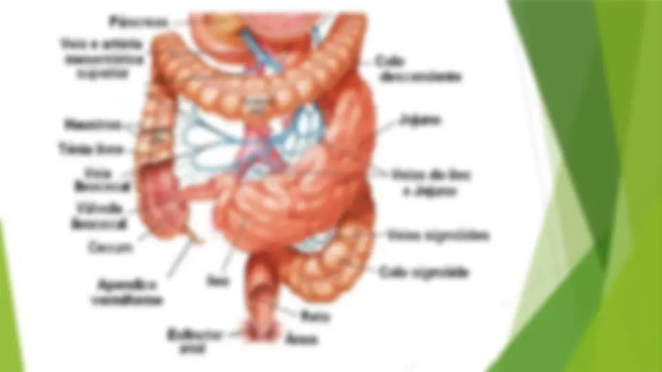 pf5