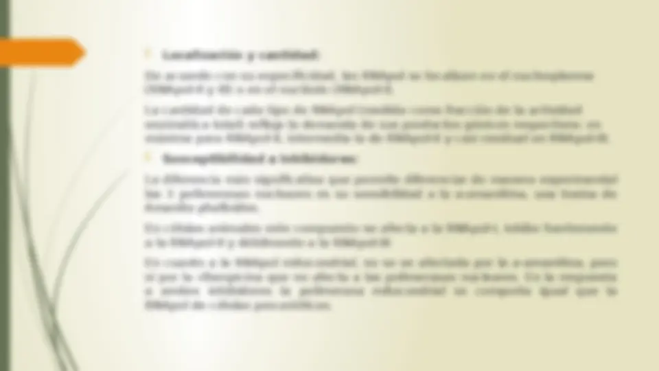 pfe