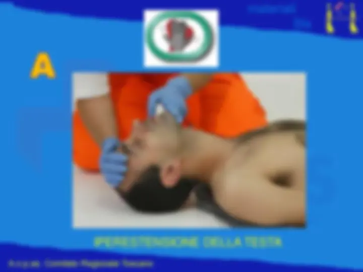pf19