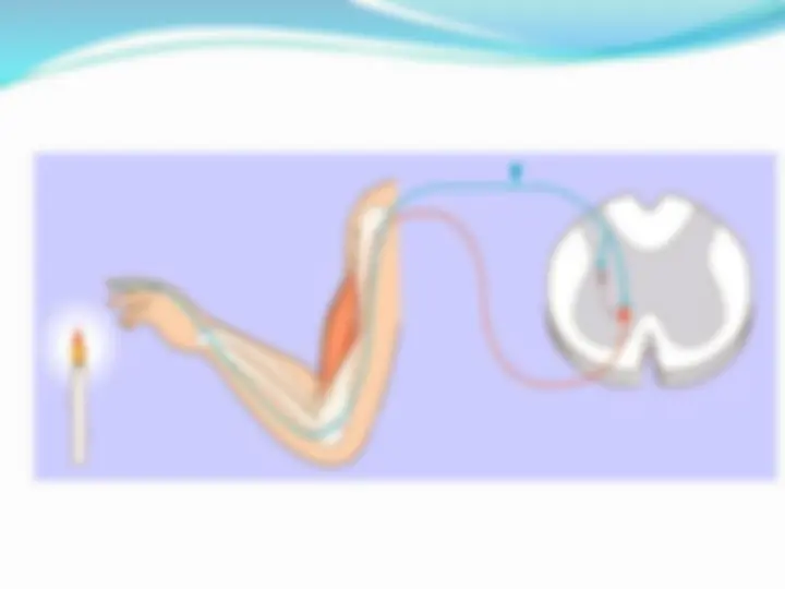 pf4