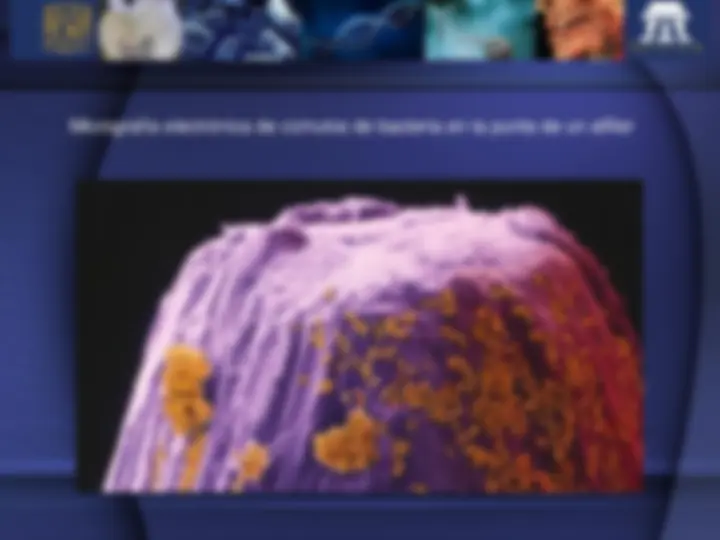 pf19