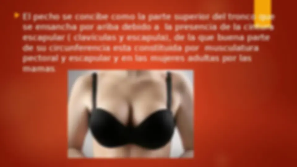 pf3