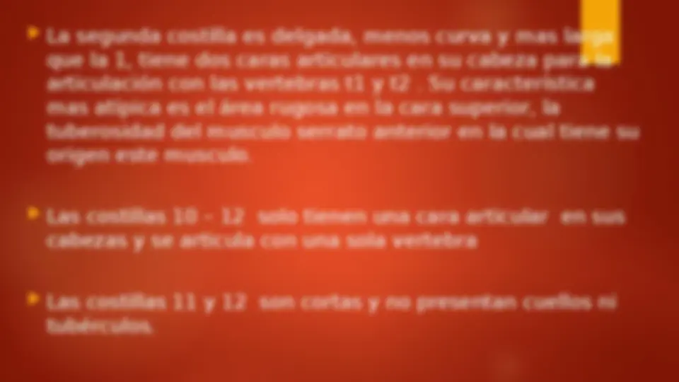 pf13