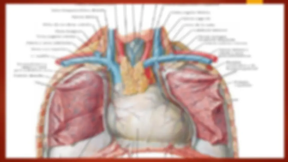 pf54