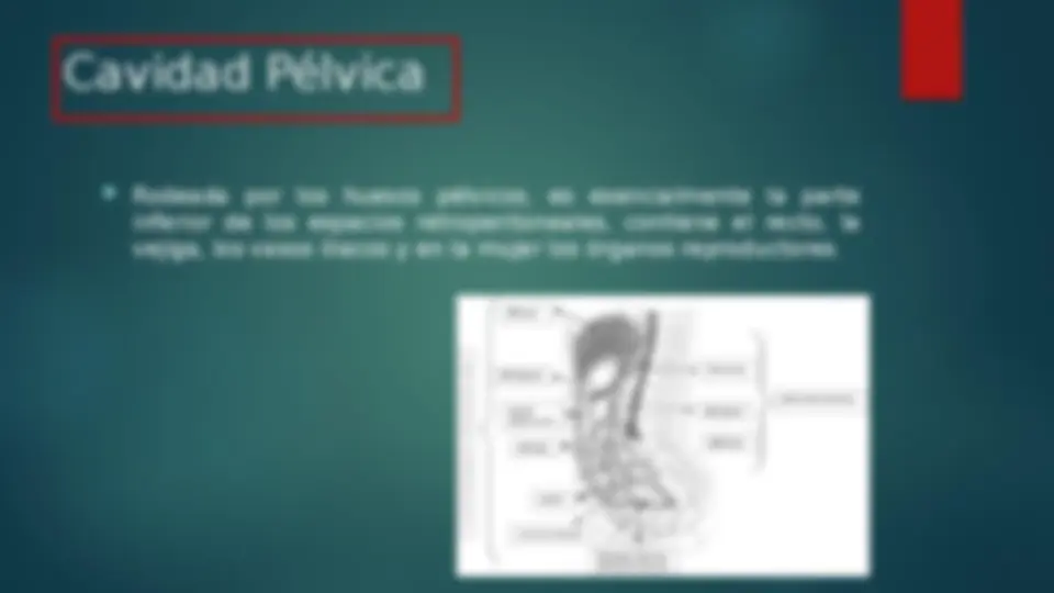 pf50