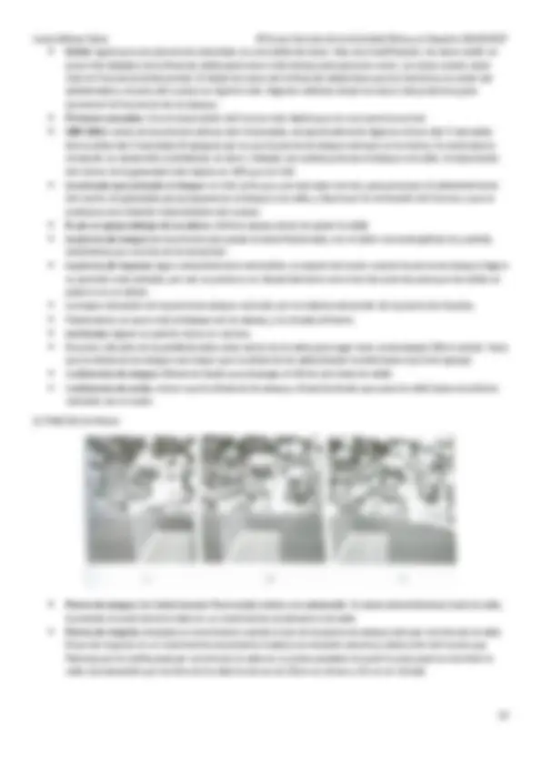 pf1b