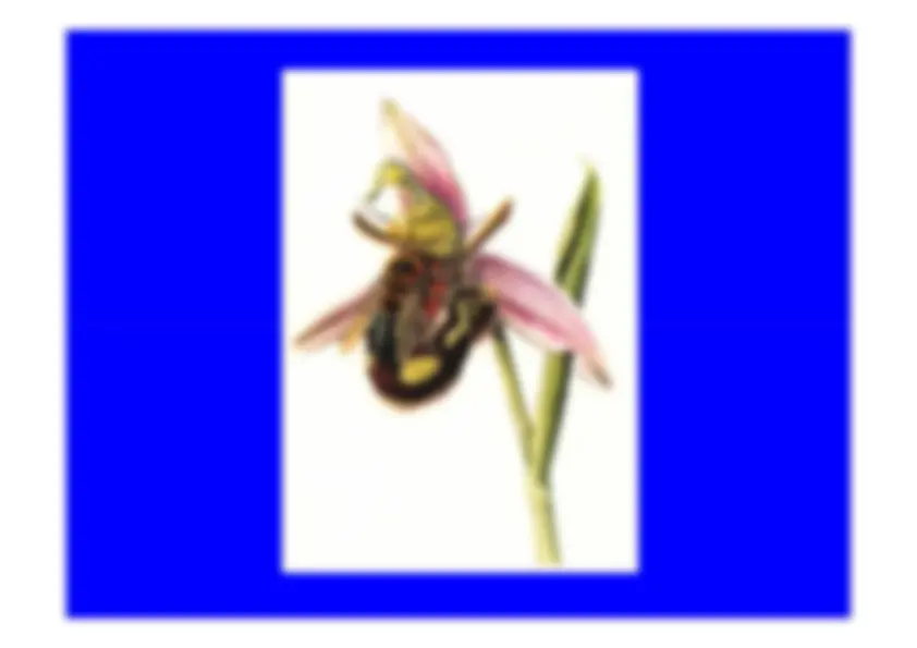 pf17