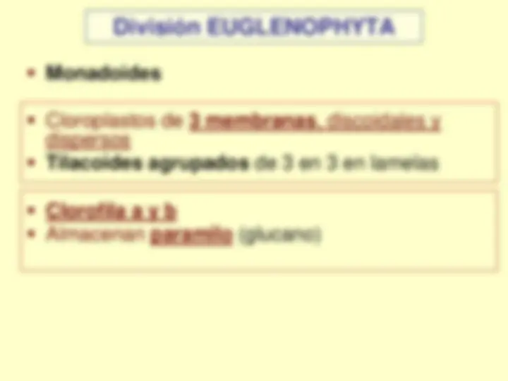 pf5