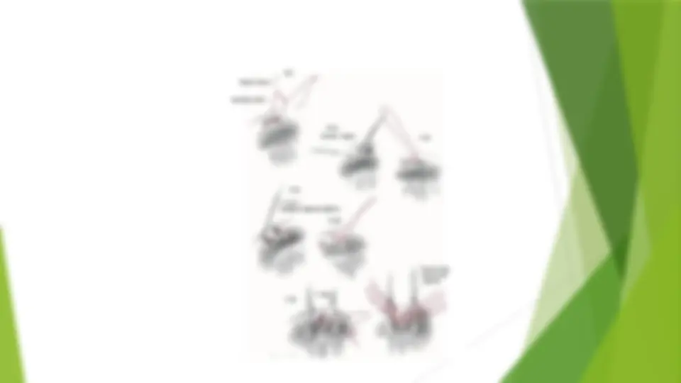 pf1a
