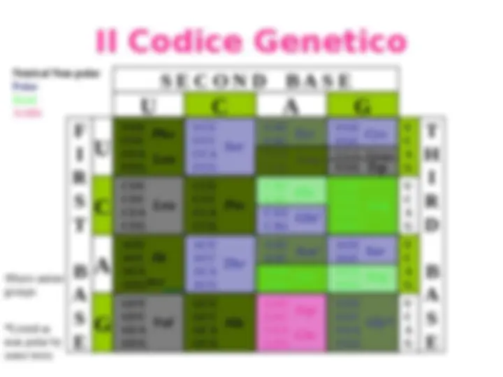 pf8