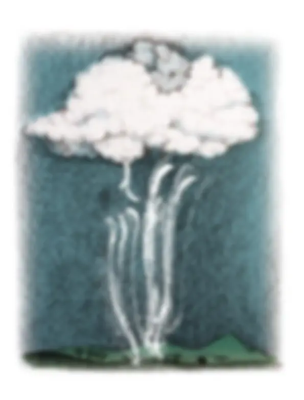 pf1a