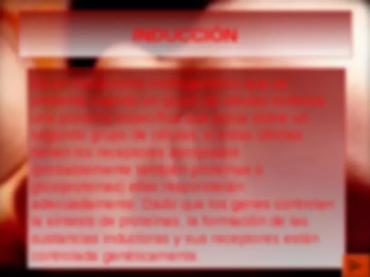 pf5