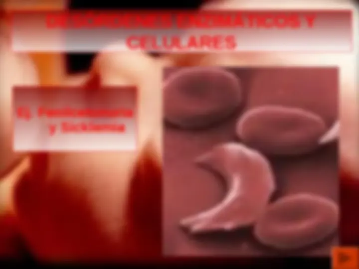 pf24