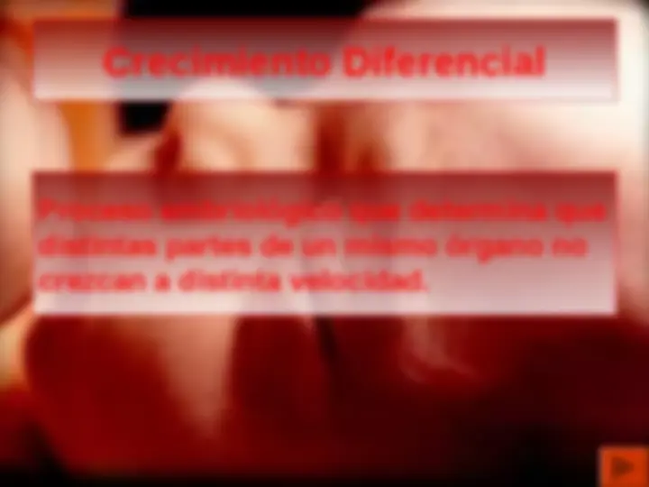 pfe